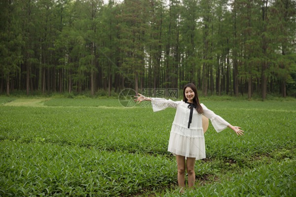 杭州茶香满溢，这些喝茶好去处你怎能错过？